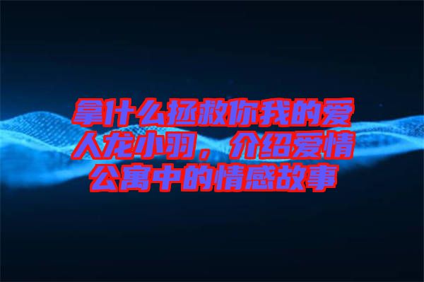 拿什么拯救你我的愛人龍小羽，介紹愛情公寓中的情感故事