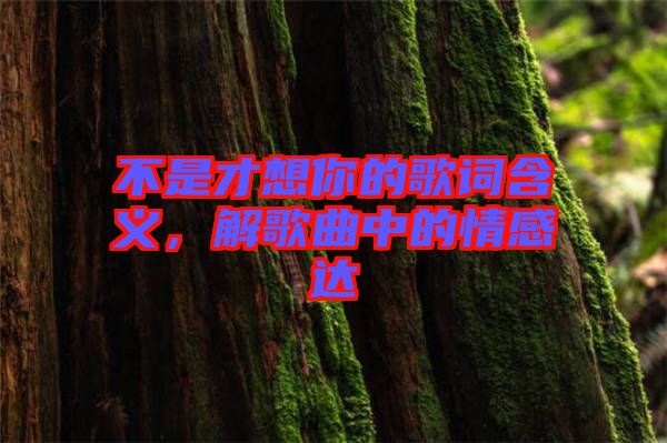 不是才想你的歌詞含義，解歌曲中的情感達