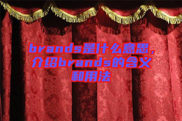 brands是什么意思，介紹brands的含義和用法