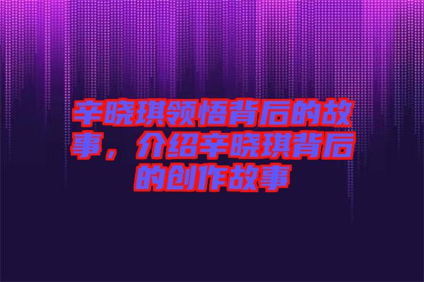 辛曉琪領悟背后的故事，介紹辛曉琪背后的創作故事