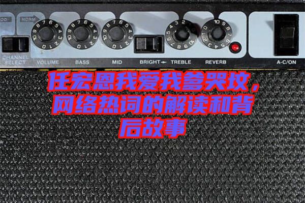 任宏恩我愛我爹哭墳，網絡熱詞的解讀和背后故事