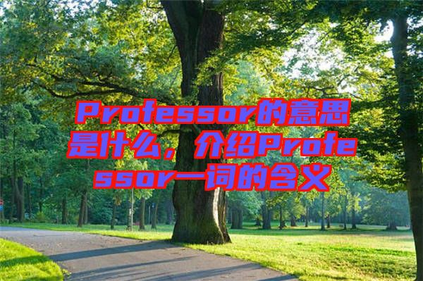 Professor的意思是什么，介紹Professor一詞的含義