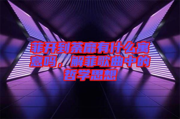 菲開到荼靡有什么寓意嗎，解菲歌曲中的哲學(xué)思想