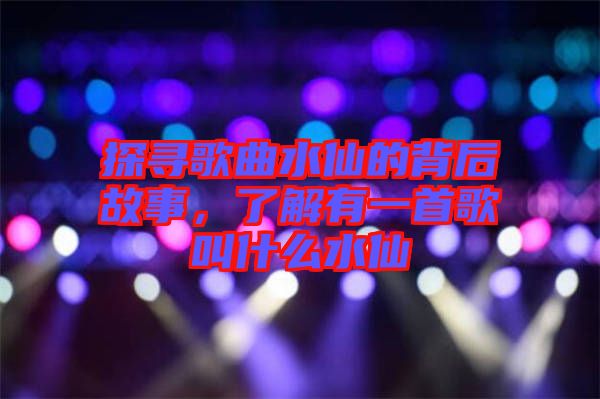 探尋歌曲水仙的背后故事，了解有一首歌叫什么水仙