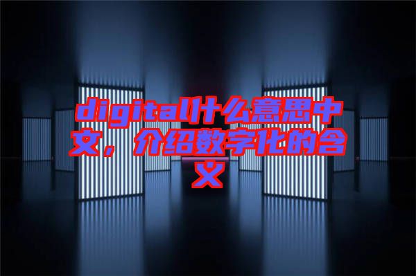 digital什么意思中文，介紹數(shù)字化的含義