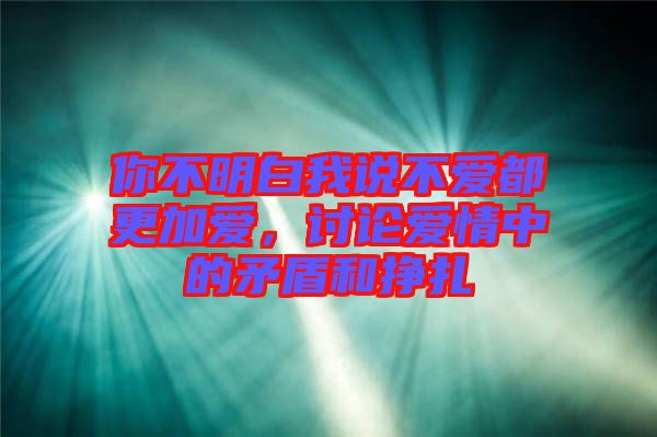 你不明白我說不愛都更加愛，討論愛情中的矛盾和掙扎