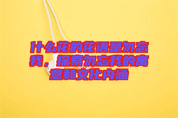 什么花的花語是勿忘我，探索勿忘我的寓意和文化內涵