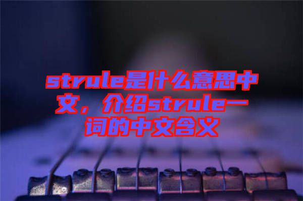 strule是什么意思中文，介紹strule一詞的中文含義