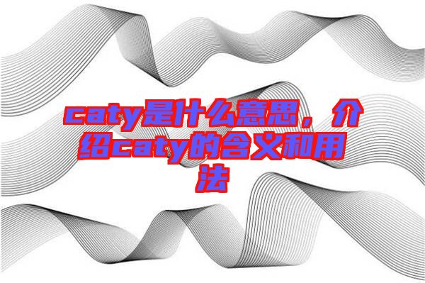 caty是什么意思，介紹caty的含義和用法