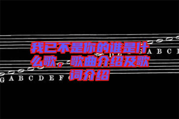 我已不是你的誰是什么歌，歌曲介紹及歌詞介紹