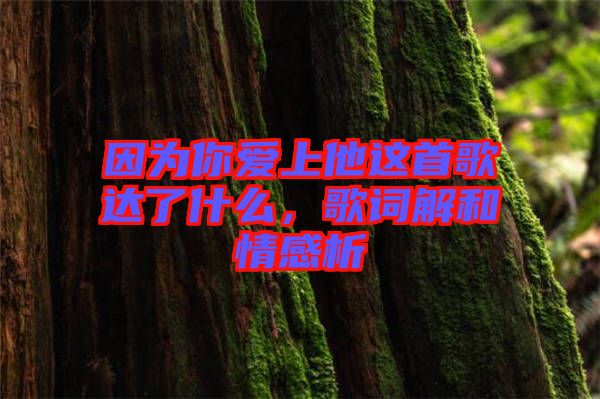 因為你愛上他這首歌達了什么，歌詞解和情感析