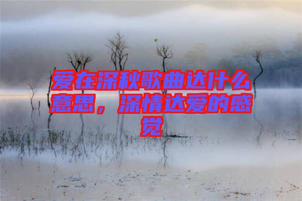 愛在深秋歌曲達什么意思，深情達愛的感覺