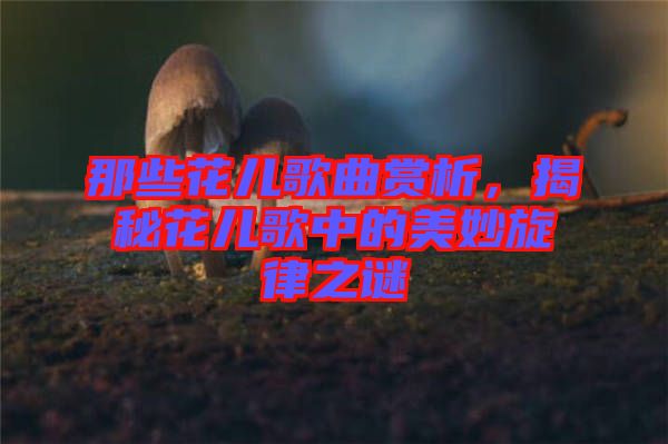 那些花兒歌曲賞析，揭秘花兒歌中的美妙旋律之謎