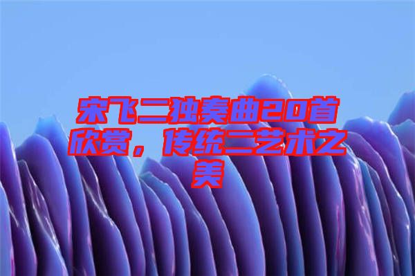 宋飛二獨奏曲20首欣賞，傳統(tǒng)二藝術(shù)之美