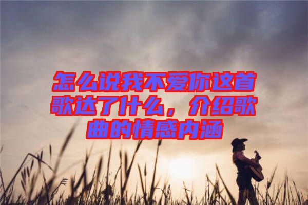 怎么說我不愛你這首歌達了什么，介紹歌曲的情感內涵