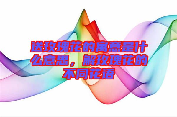 送玫瑰花的寓意是什么意思，解玫瑰花的不同花語