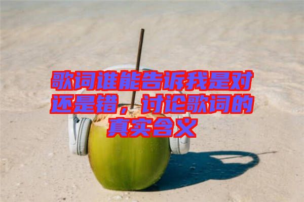 歌詞誰能告訴我是對還是錯，討論歌詞的真實(shí)含義