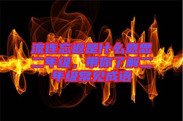 流連忘返是什么意思二年級(jí)，帶你了解二年級(jí)常見(jiàn)成語(yǔ)