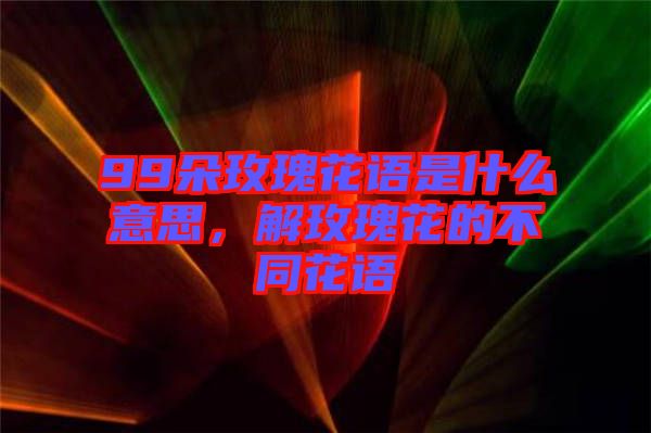 99朵玫瑰花語是什么意思，解玫瑰花的不同花語