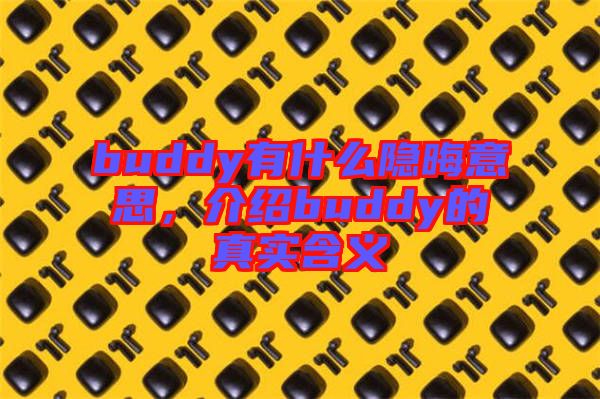 buddy有什么隱晦意思，介紹buddy的真實含義