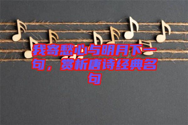 我寄愁心與明月下一句，賞析唐詩(shī)經(jīng)典名句