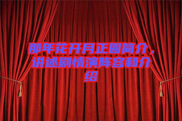 那年花開月正圓簡介，講述劇情演陣容和介紹