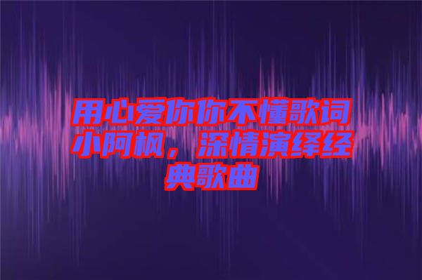 用心愛你你不懂歌詞小阿楓，深情演繹經(jīng)典歌曲