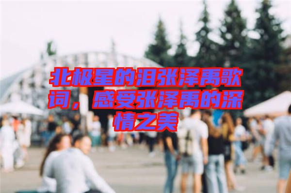 北極星的淚張澤禹歌詞，感受張澤禹的深情之美