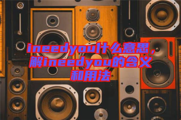 ineedyou什么意思，解ineedyou的含義和用法