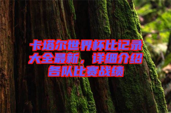 卡塔爾世界杯比記錄大全最新，詳細(xì)介紹各隊(duì)比賽戰(zhàn)績(jī)