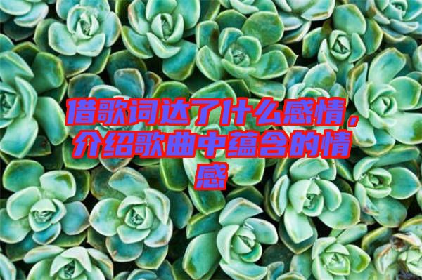 借歌詞達(dá)了什么感情，介紹歌曲中蘊(yùn)含的情感