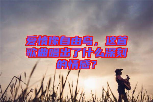 愛情像自由鳥，這首歌曲唱出了什么深刻的情感？