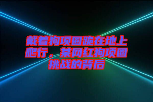 戴著狗項(xiàng)圈跪在地上爬行，某網(wǎng)紅狗項(xiàng)圈挑戰(zhàn)的背后