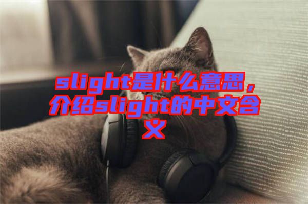 slight是什么意思，介紹slight的中文含義