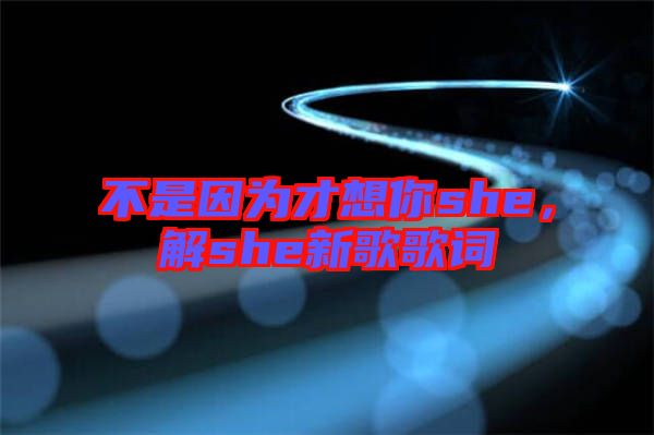 不是因?yàn)椴畔肽鉺he，解she新歌歌詞