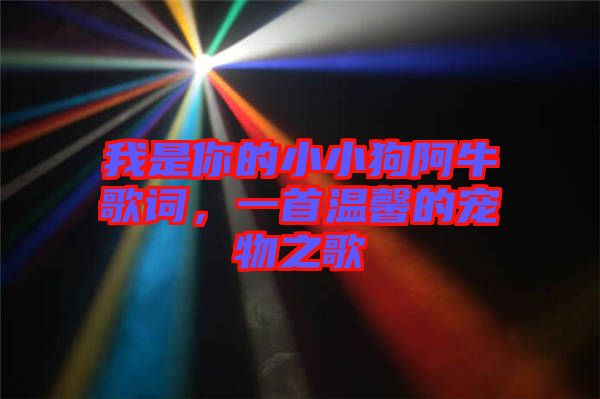 我是你的小小狗阿牛歌詞，一首溫馨的寵物之歌