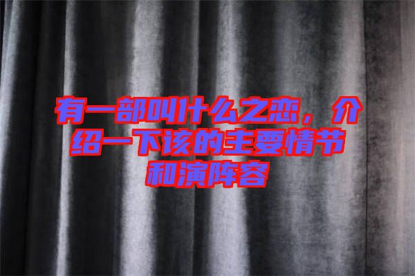 有一部叫什么之戀，介紹一下該的主要情節(jié)和演陣容