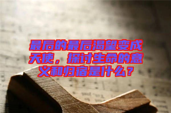 最后的最后渴望變成天使，探討生命的意義和歸宿是什么？