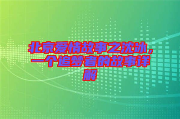 北京愛情故事之沈冰，一個追夢者的故事詳解