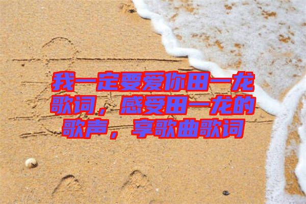 我一定要愛你田一龍歌詞，感受田一龍的歌聲，享歌曲歌詞