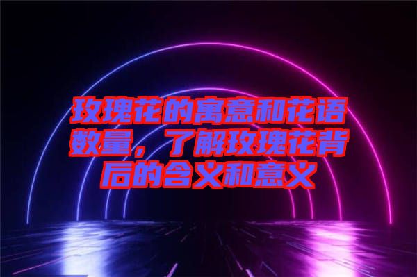 玫瑰花的寓意和花語數量，了解玫瑰花背后的含義和意義