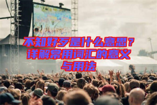 不知好歹是什么意思？詳解常用詞匯的意義與用法