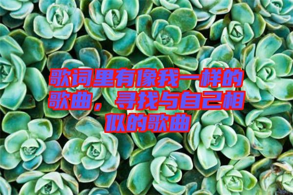 歌詞里有像我一樣的歌曲，尋找與自己相似的歌曲