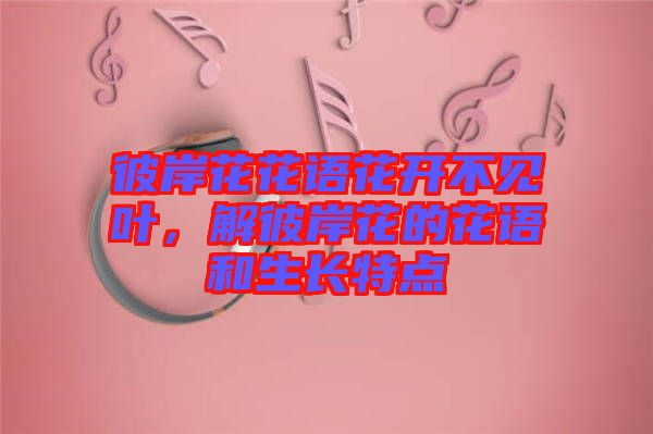 彼岸花花語花開不見葉，解彼岸花的花語和生長特點(diǎn)