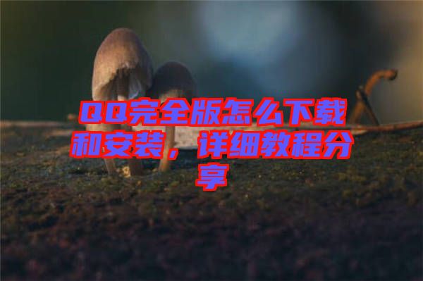 QQ完全版怎么下載和安裝，詳細教程分享