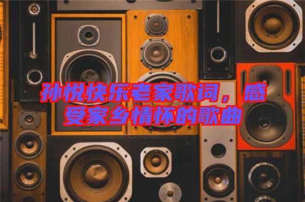 孫悅快樂老家歌詞，感受家鄉情懷的歌曲