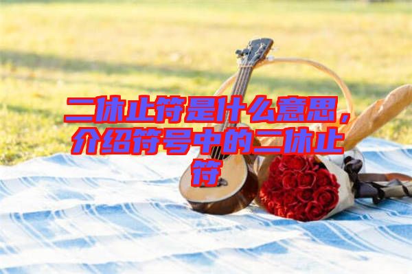 二休止符是什么意思，介紹符號中的二休止符