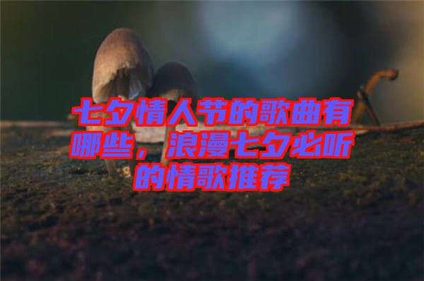 七夕情人節(jié)的歌曲有哪些，浪漫七夕必聽的情歌推薦