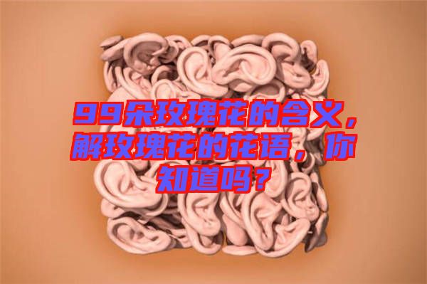 99朵玫瑰花的含義，解玫瑰花的花語，你知道嗎？