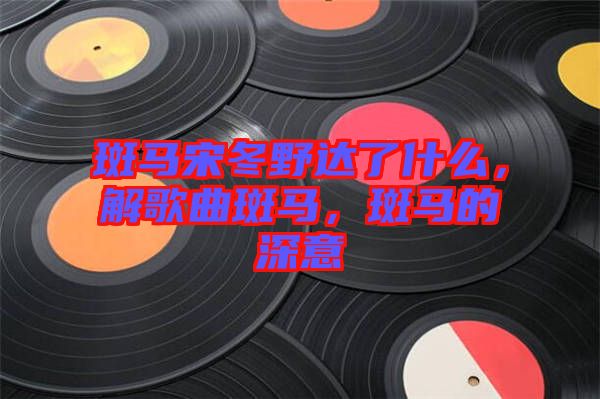 斑馬宋冬野達了什么，解歌曲斑馬，斑馬的深意